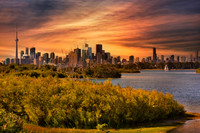 City & Nature - 2016