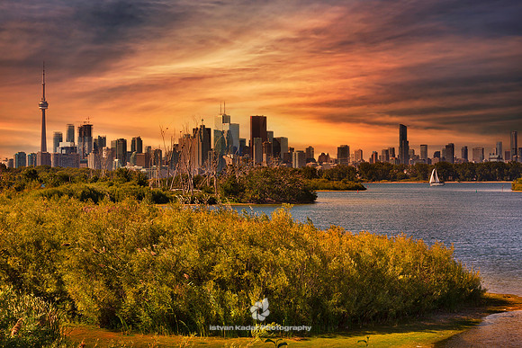 City & Nature - 2016