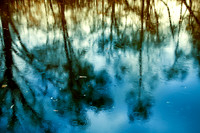 pond trees reflection rain blue abstract water