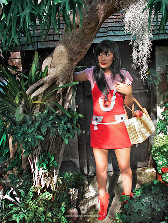 Little Red Riding Hood