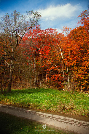 Red Green Blue - 2011