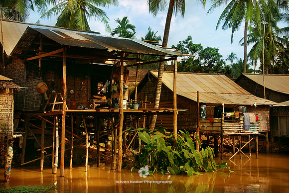 Houses on Stilts