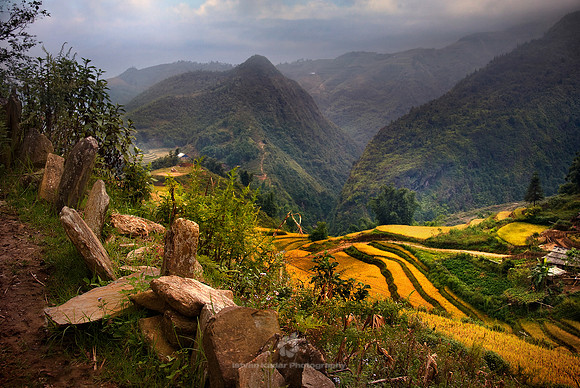 Stone Fence in the Rice Valley