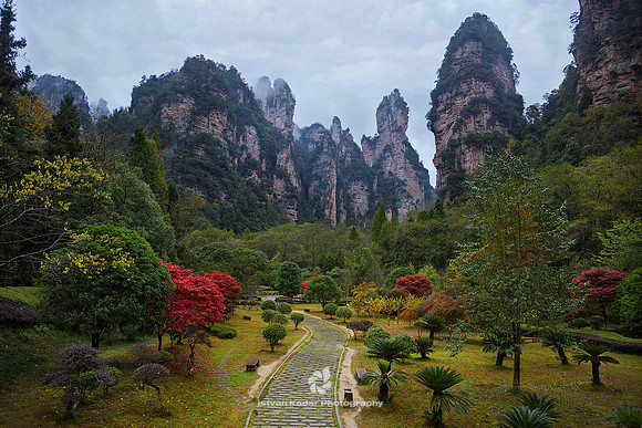 Entrance to Zhangjiajie National Forest Park