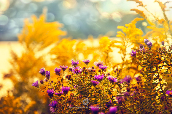 Warm September Day