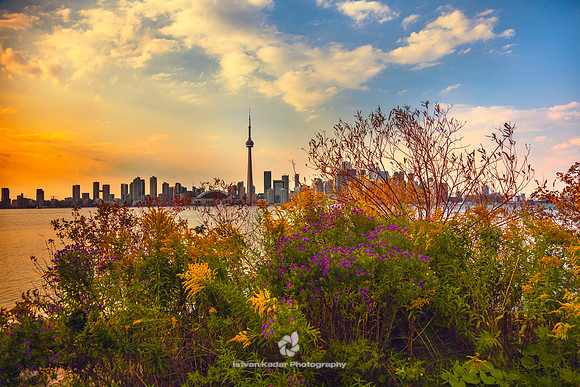 Farewell Colours of Summer - 2012
