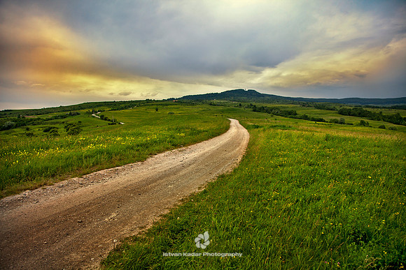 Road to the Lookout