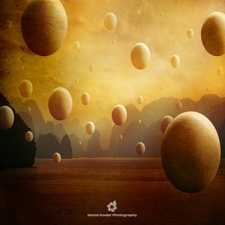 Invasion