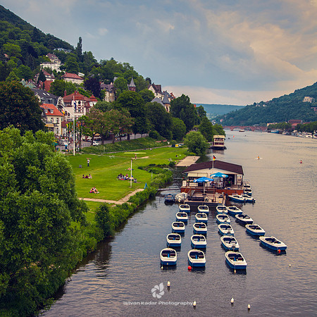 Pedal Boats on the Neckar River
