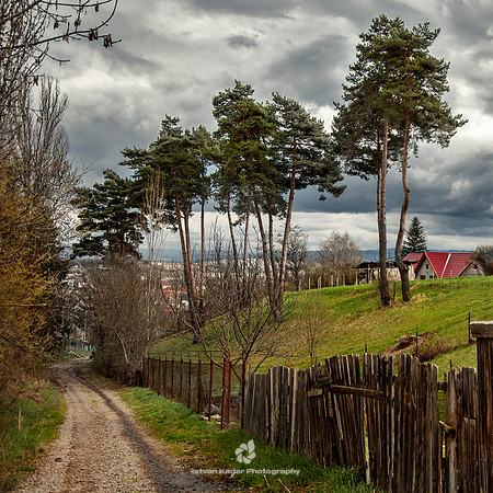 Road to the Graveyards