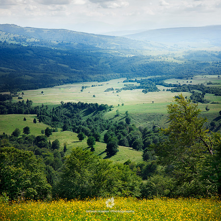 Layers of Nature