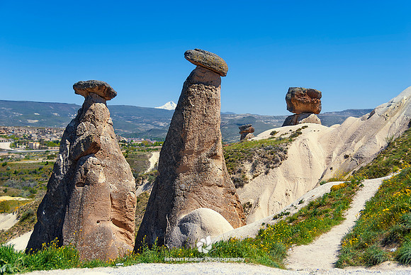 Tuff Mushrooms in Cappadocia