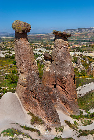 Tuff Mushrooms