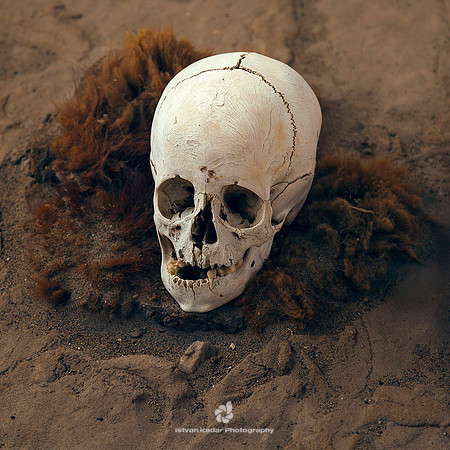 Skull in the Cemetery of Chauchilla
