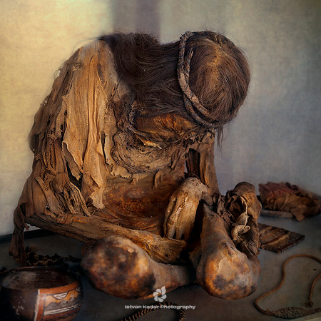 Resting Mummy in the Cemetery of Chauchilla