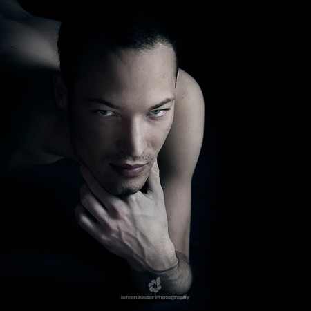 Animal Instinct