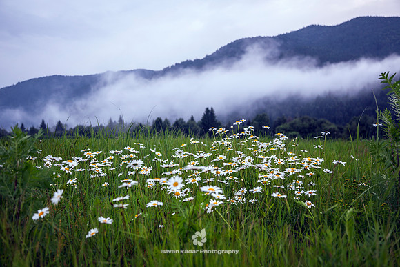 Simplicity of the Unaffected Air