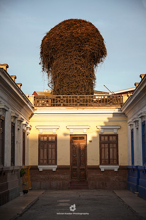 Barranco Home