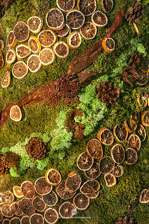 Moss, Cones & Oranges