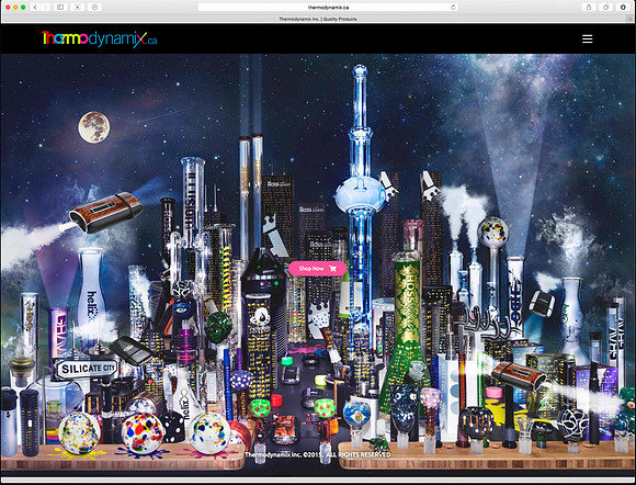 Website Design & Photography