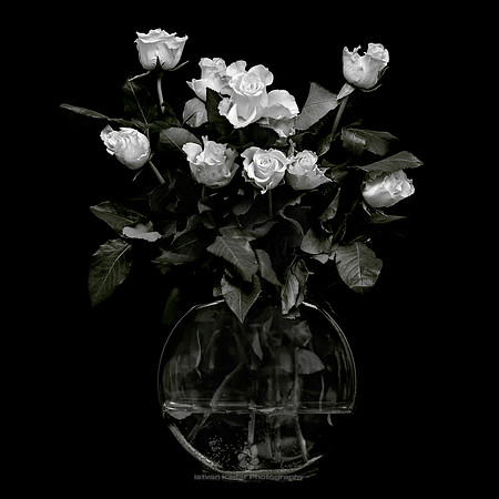 Vase of Roses