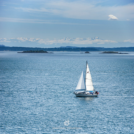 Sailing in the Salish Sea - 2009