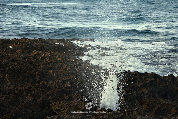 Blowhole