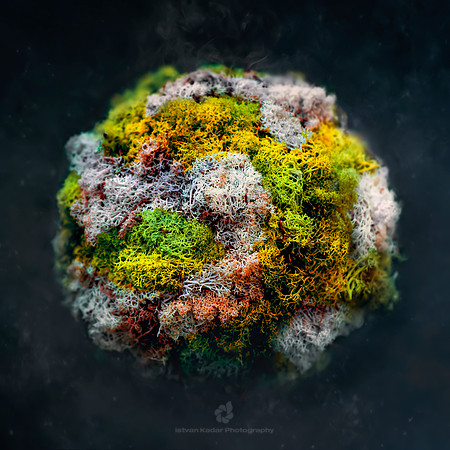 The Moss Globe