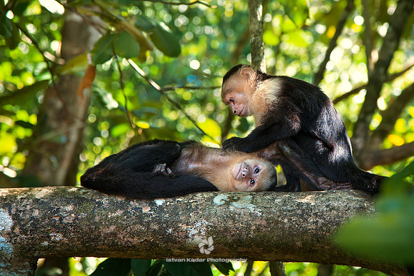 Grooming