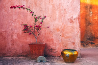 Bougainvillea and Copper Pot, Jaipur, India