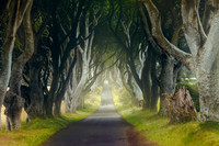 Northern Ireland