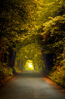 Light at the End of the Tunnel