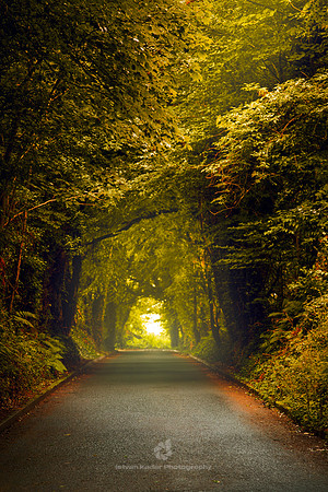 Light at the End of the Tunnel
