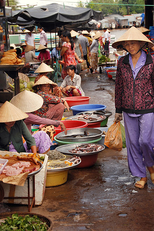 Fish Market in the Mekong Delta
