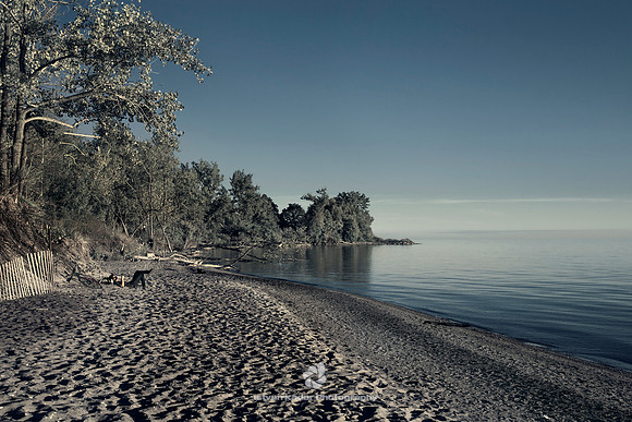 Toronto Islands - 2013
