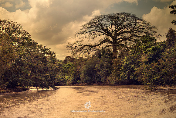 Caño Negro Wildlife Refuge