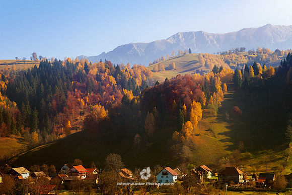 Autumn, "Beauty In Nature", "Carpathian Mountain Range", "Color Image", Copse, Day, Evergreen, Fall, Field, Foliage, Grass, Hill, Home, Horizontal, House, Landscape, Meadow, Mountains, "No People", Ou
