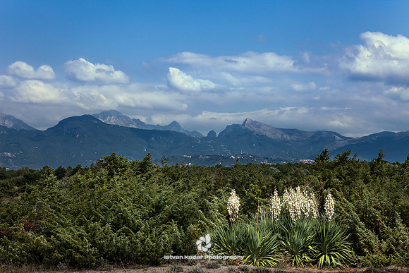 Apuan Alps
