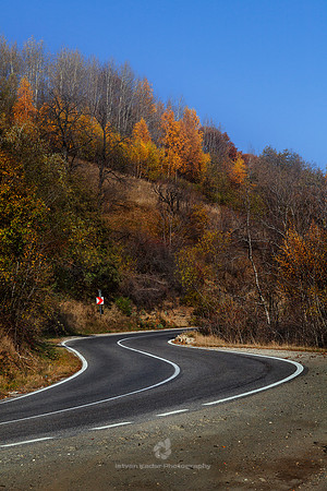Winding Road