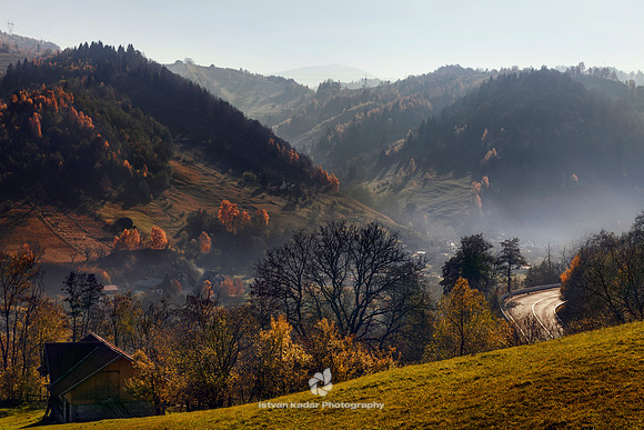 Fog in the Valley