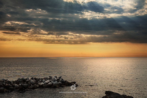 Ligurian Sea
