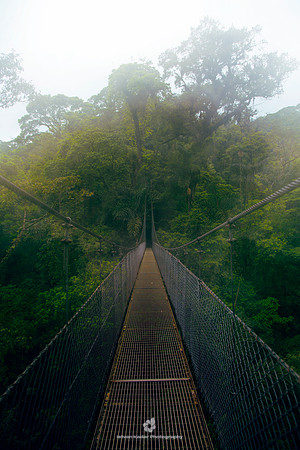 Arenal Hanging Bridges