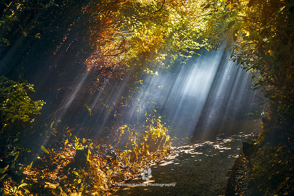 Ray of Clouds
