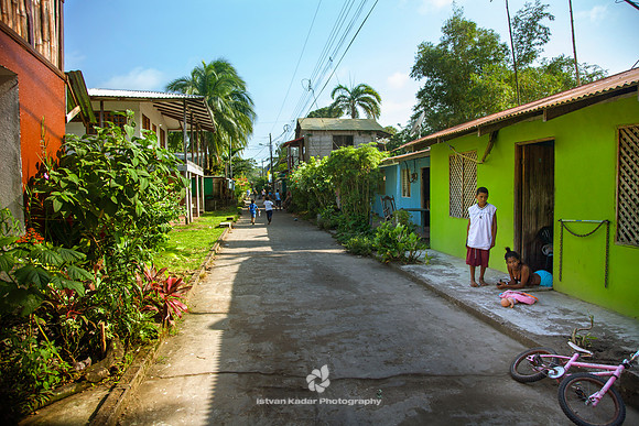 Tortuguero Village