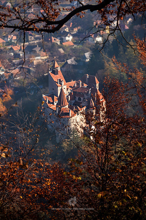 Bran Castle - Bird's-eye View