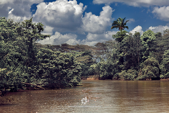 Río Frío, Caño Negro Wildlife Refuge