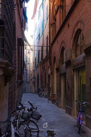 Bicycles in Lucca