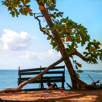 Beach Bench