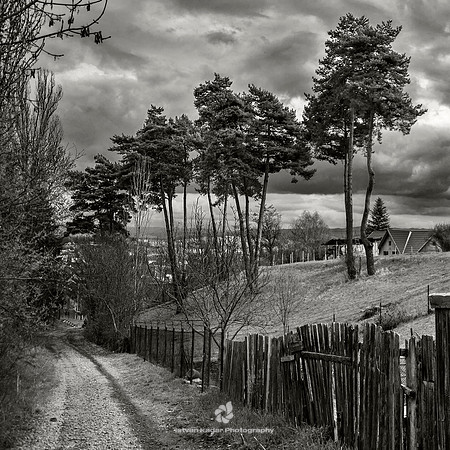 Road to the Graveyards