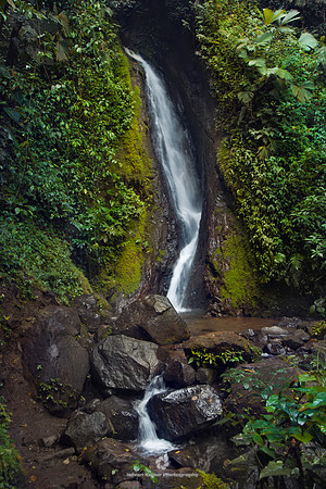 Waterfall in Arenal Hanging Bridges